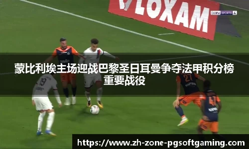 pg模拟器