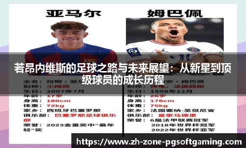 pg模拟器