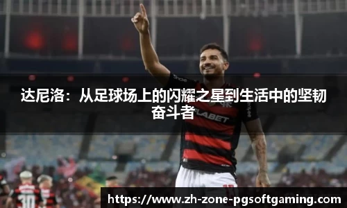 pg模拟器