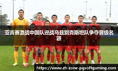 pg模拟器
