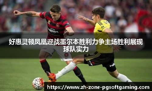 pg模拟器