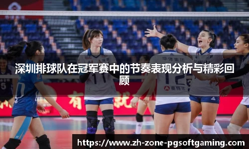 pg模拟器