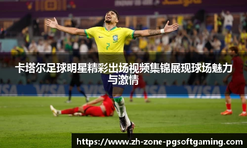 pg模拟器