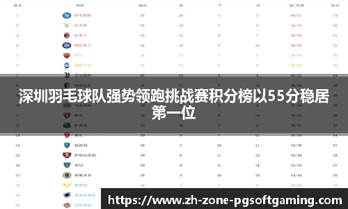 pg模拟器