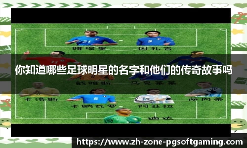pg模拟器