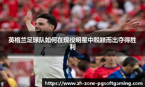 pg模拟器