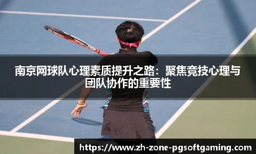 pg模拟器